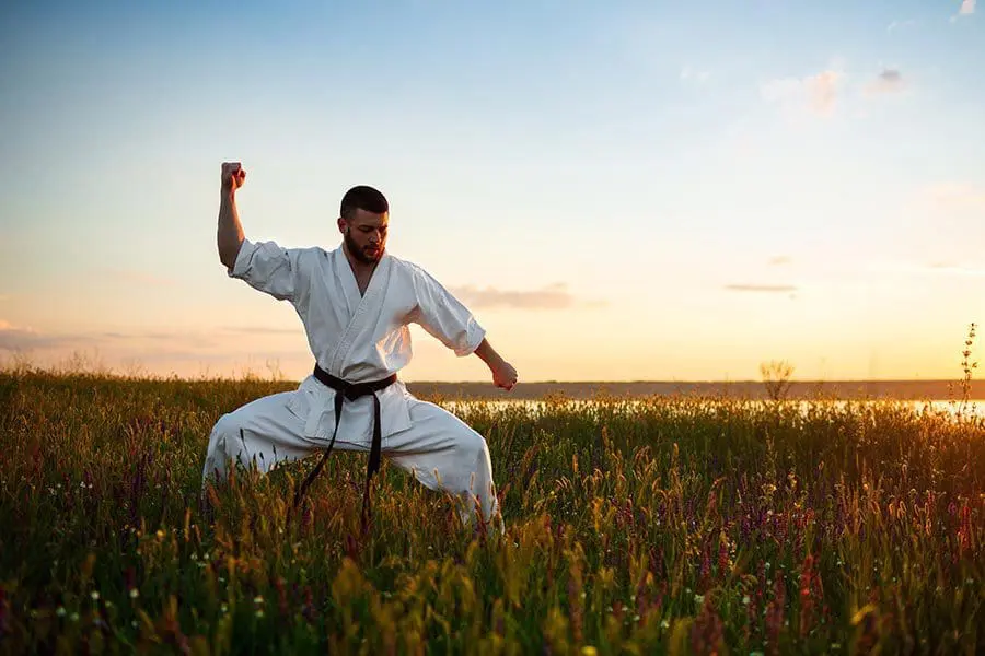 Traditional Weapons Classes | Phoenix Rising Martial Art